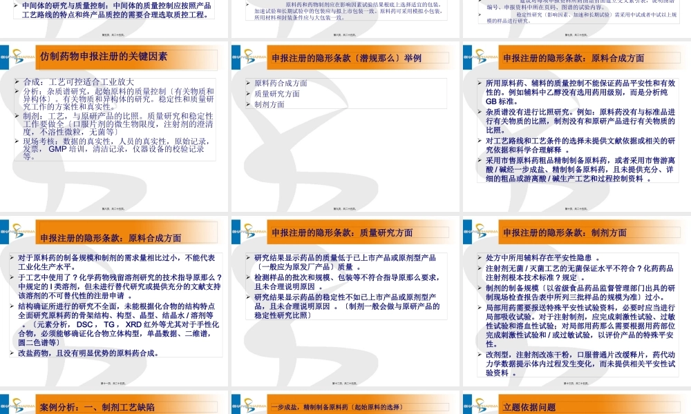 仿制药申(精).pptx