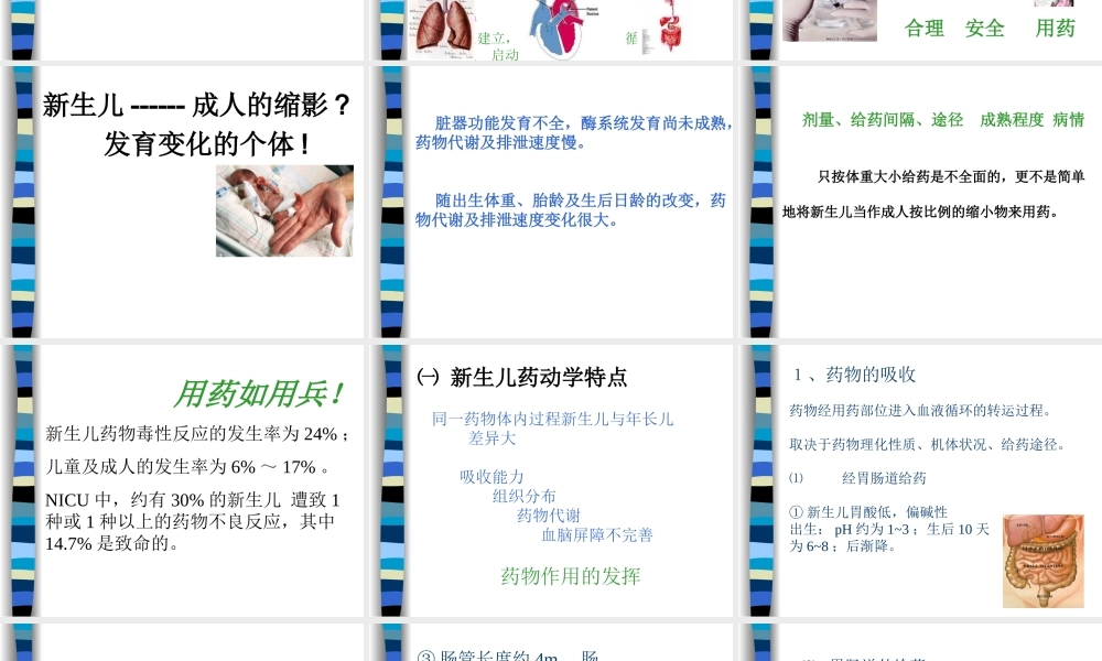新生儿用药特点.ppt