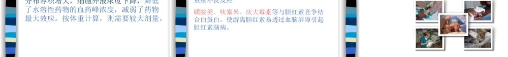 新生儿用药特点.ppt