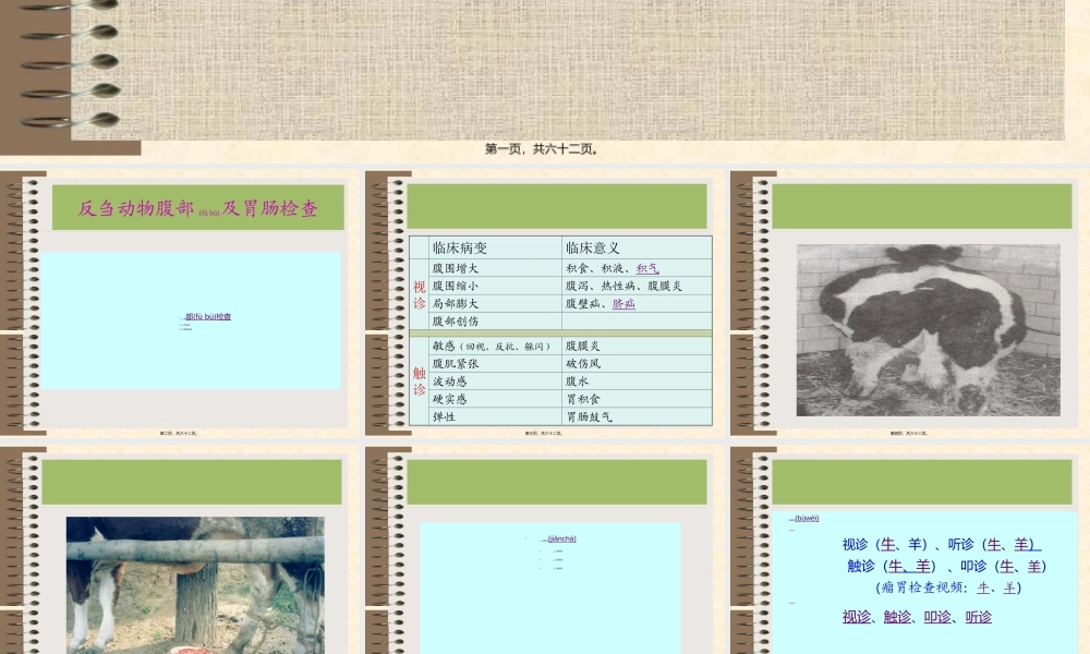 2022年医学专题—消化系统检查(第三讲).ppt