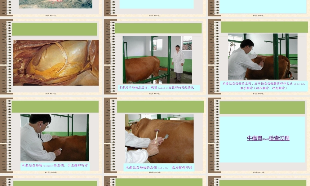 2022年医学专题—消化系统检查(第三讲).ppt