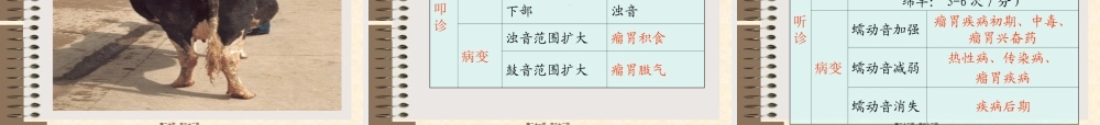 2022年医学专题—消化系统检查(第三讲).ppt