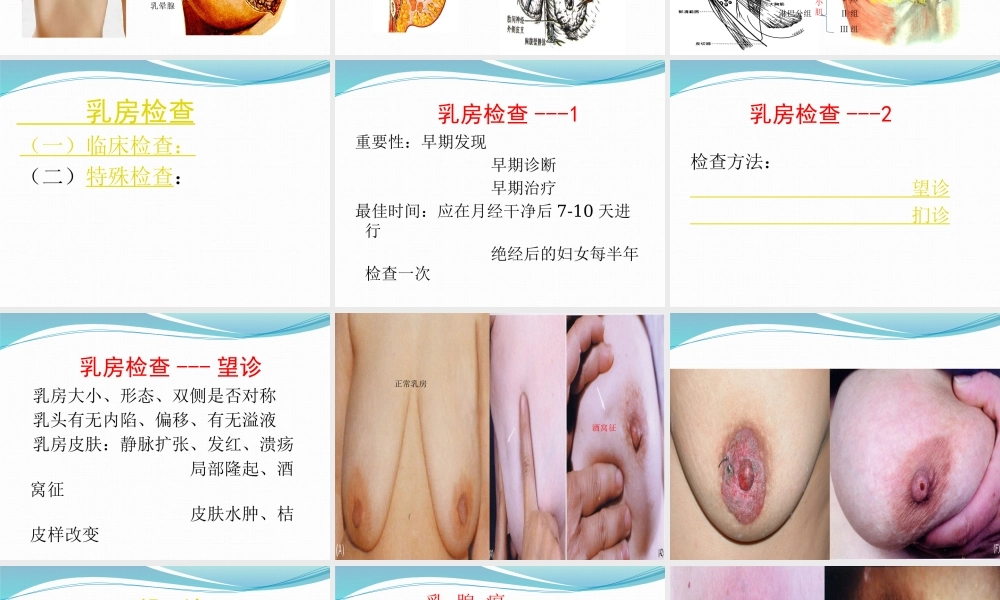 91乳腺外科-乳腺(1).pptx