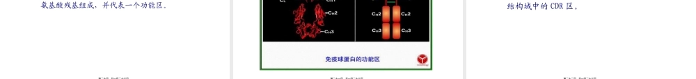 HGPRT---、TK---杂交瘤细胞Ig---、HGPRT.pptx