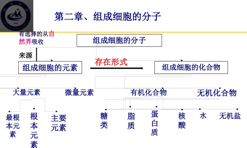 一轮复习组成细胞的元素及无机化合物概述.pptx