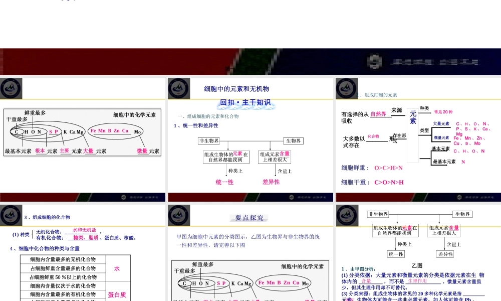 一轮复习组成细胞的元素及无机化合物概述.pptx