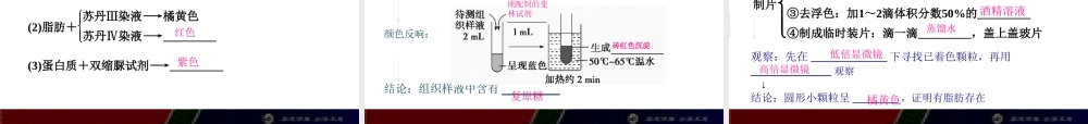 一轮复习组成细胞的元素及无机化合物概述.pptx