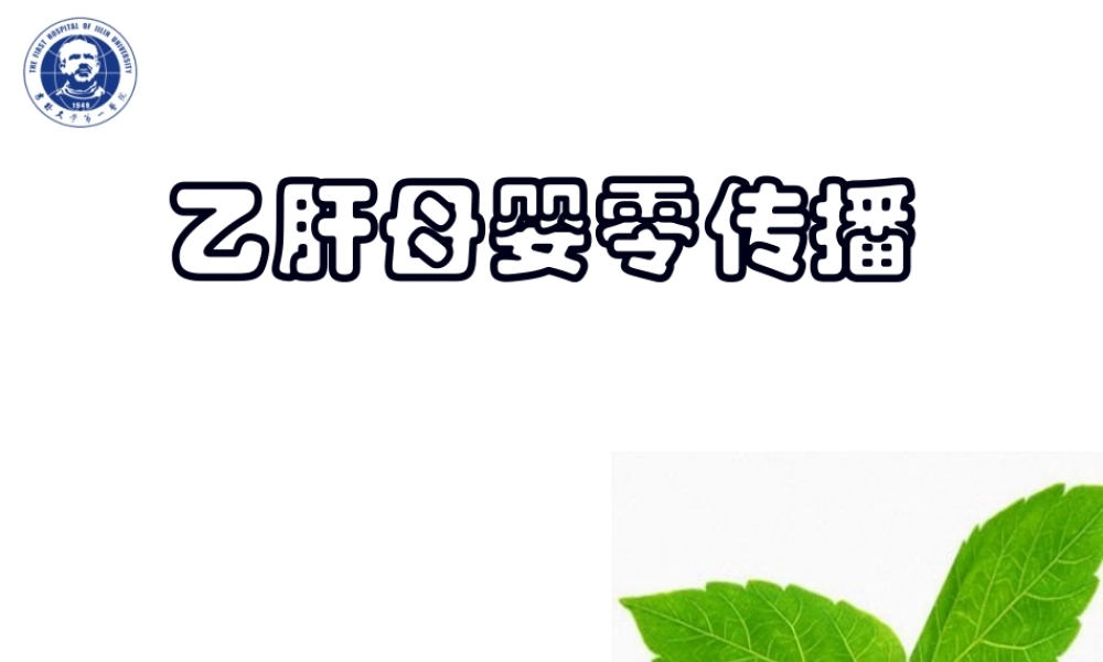 乙肝母婴传播.pptx