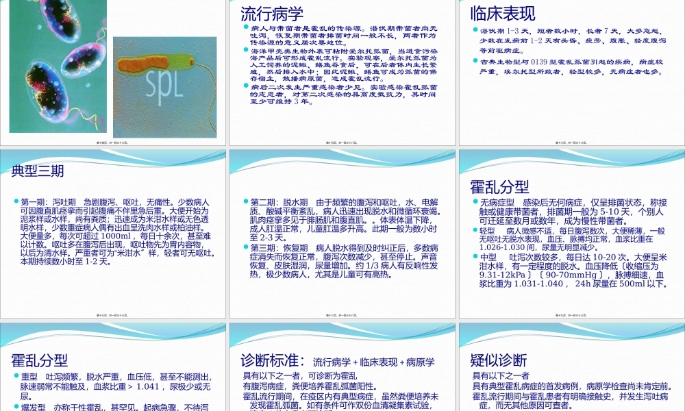 传染病法和传染病详解.pptx