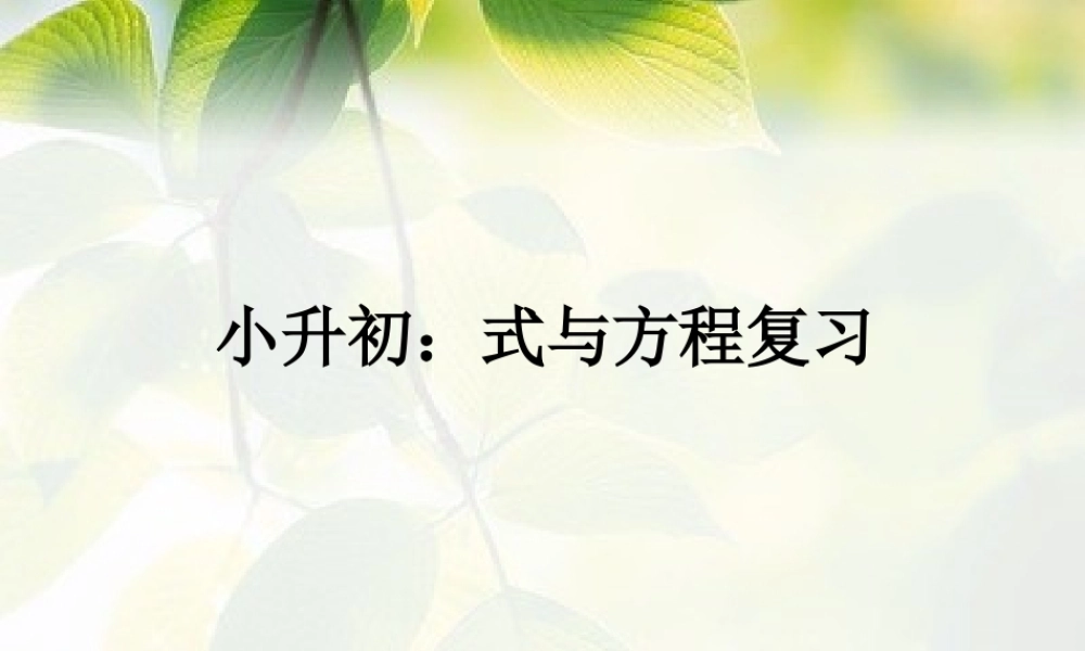 六年级数学小升初《式与方程复习》.ppt