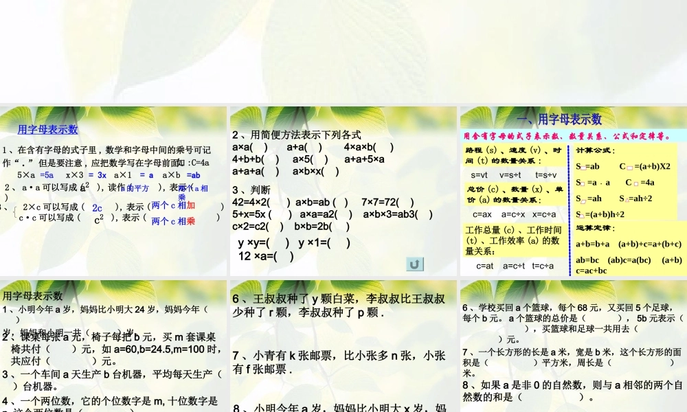 六年级数学小升初《式与方程复习》.ppt