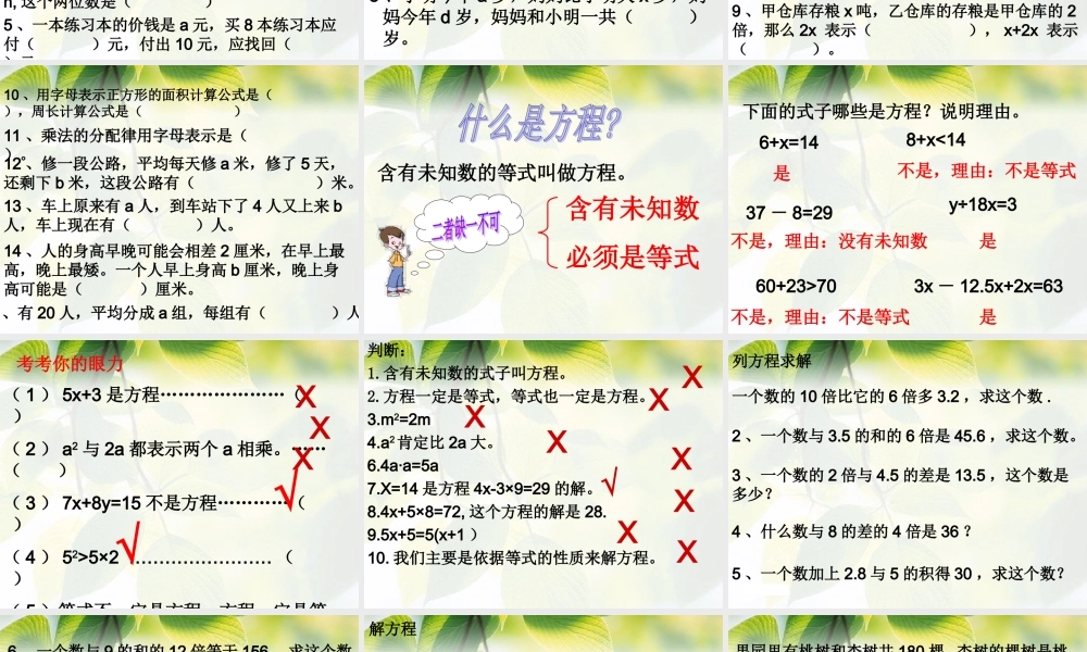 六年级数学小升初《式与方程复习》.ppt