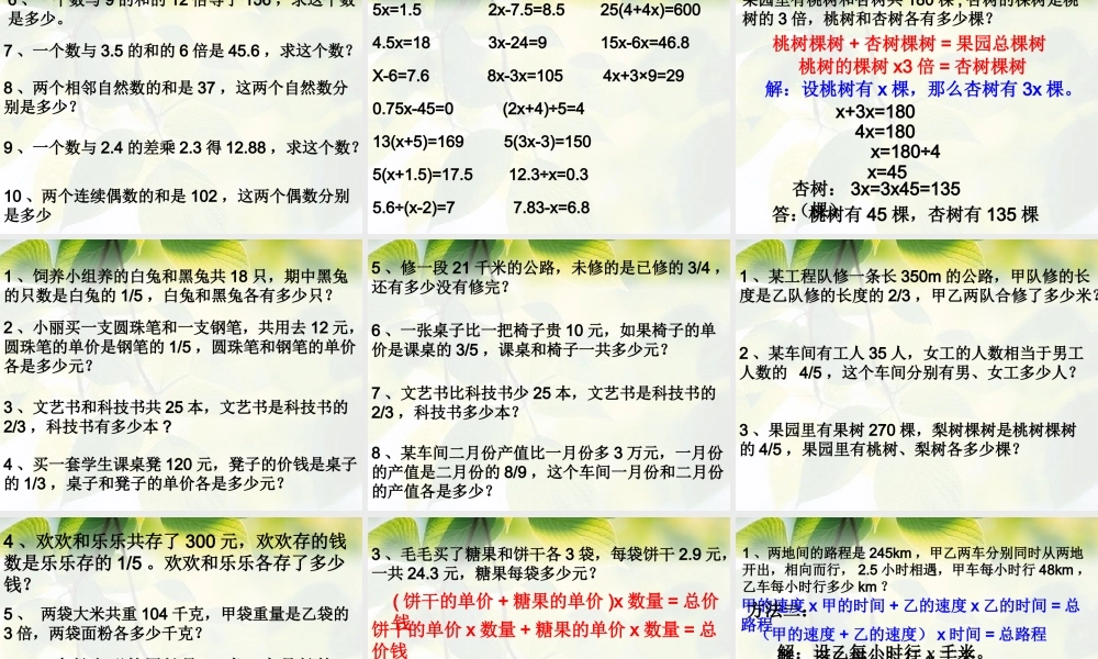 六年级数学小升初《式与方程复习》.ppt