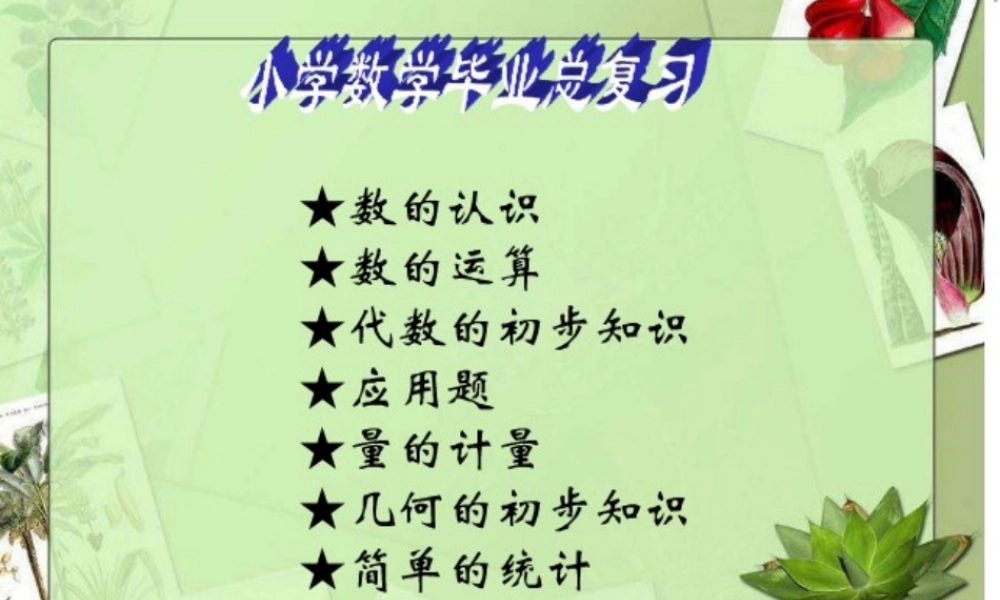 小升初数学复习资料.ppt