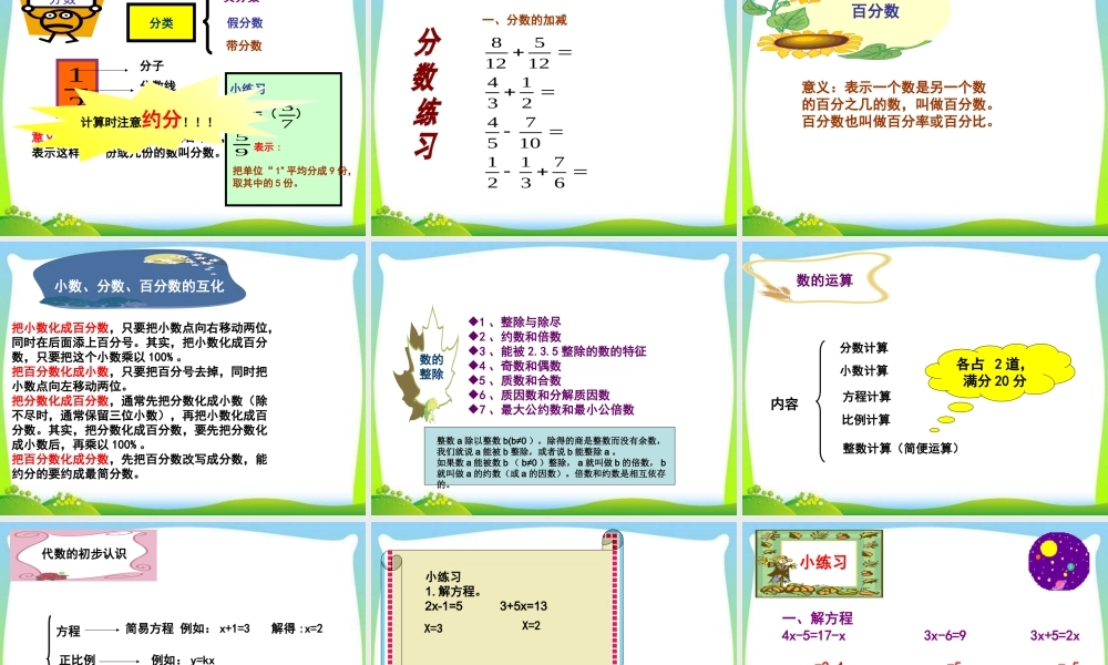 小升初数学总复习经典教案_ppt.ppt