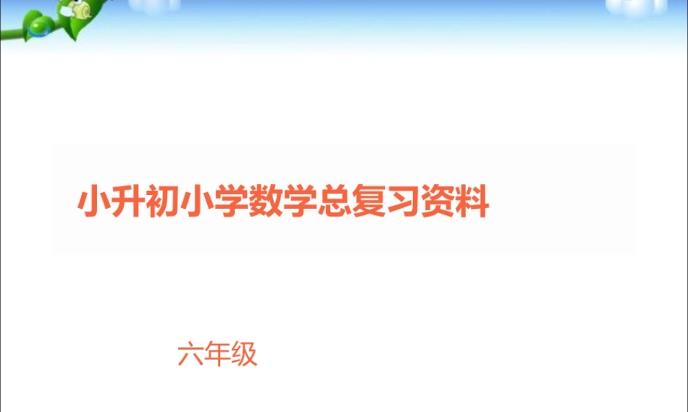小升初小学数学总复习资料.ppt