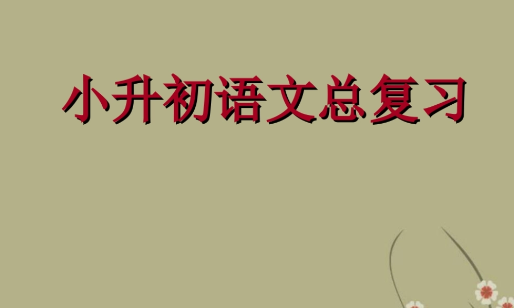 【小升初】语文总复习课件 - 复习重点.ppt