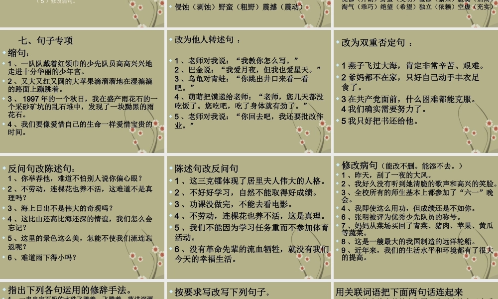 【小升初】语文总复习课件 - 复习重点.ppt