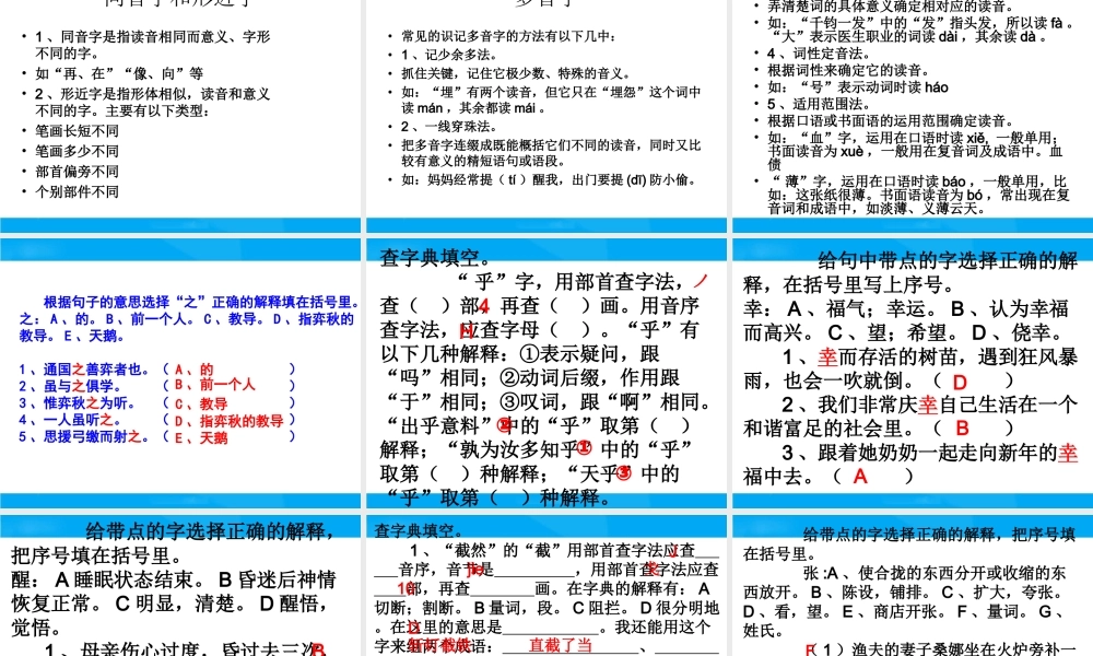 【小升初】语文总复习课件 - 汉字.ppt