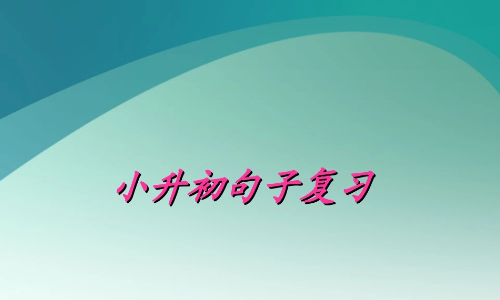 【小升初】语文总复习课件 - 句子综合复习.ppt