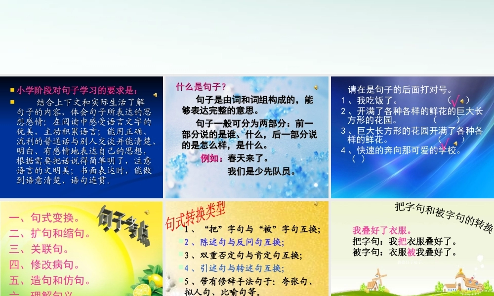 【小升初】语文总复习课件 - 句子综合复习.ppt