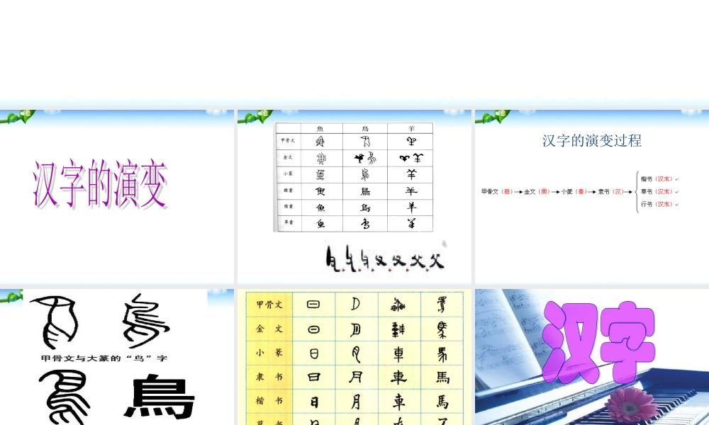 【小升初】语文总复习课件 - 汉字总复习 全国通用.ppt
