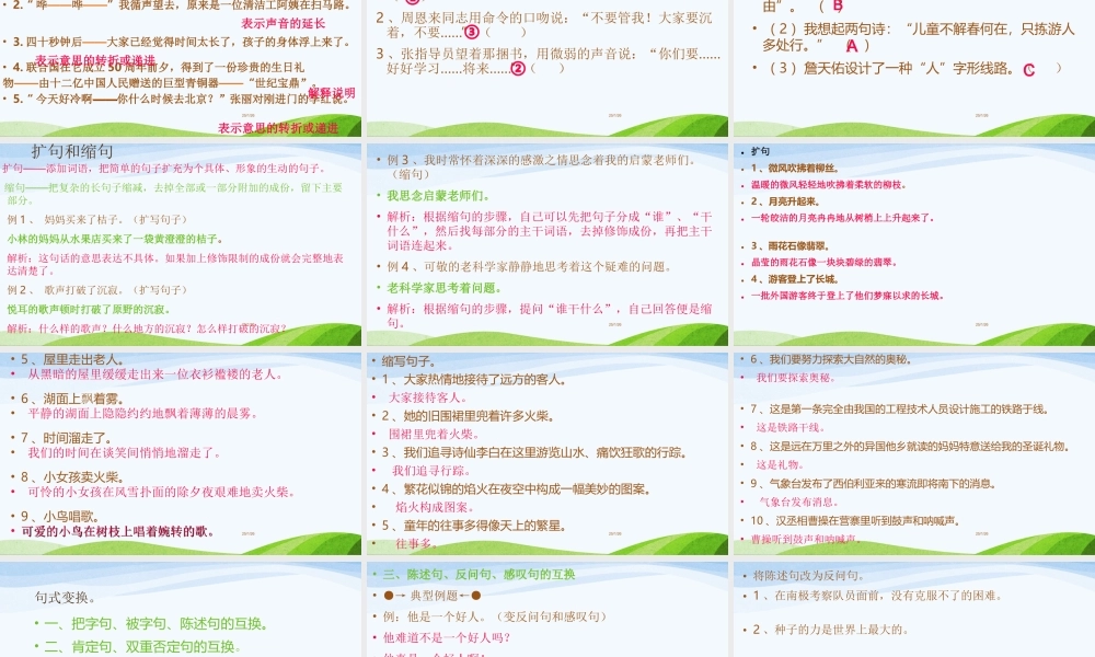 【小升初】语文总复习课件 - 句子 (2).ppt