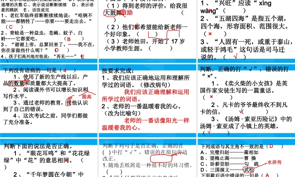 【小升初】语文总复习课件 - 句子.ppt