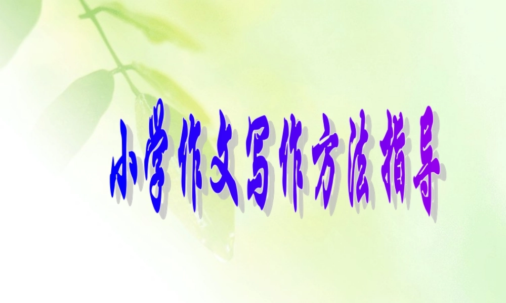 小学小升初复习-作文写作方法指导.ppt
