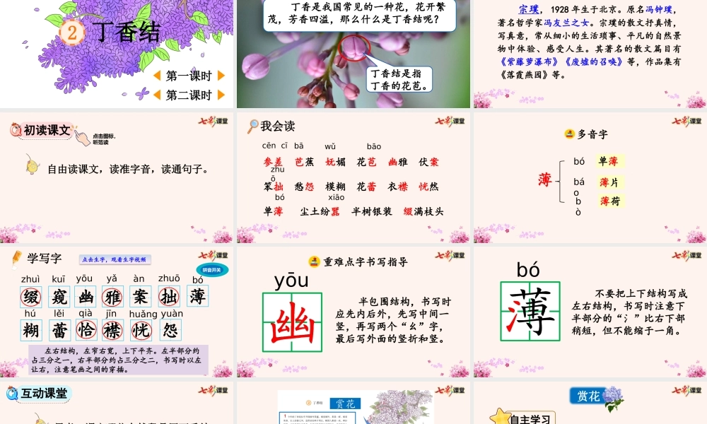 2 丁香结【优质版】.pptx