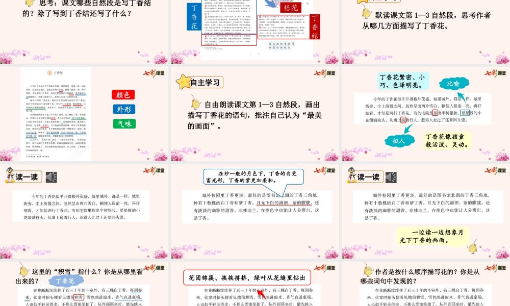 2 丁香结【优质版】.pptx