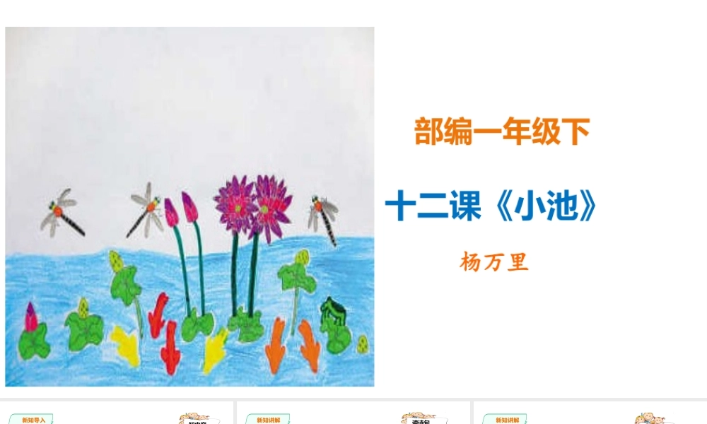 一年级下册语文精讲古诗-12课《小池》 人教部编版(共20张PPT).ppt
