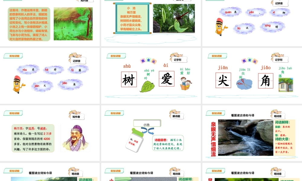 一年级下册语文精讲古诗-12课《小池》 人教部编版(共20张PPT).ppt