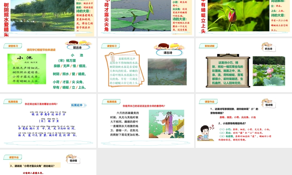 一年级下册语文精讲古诗-12课《小池》 人教部编版(共20张PPT).ppt
