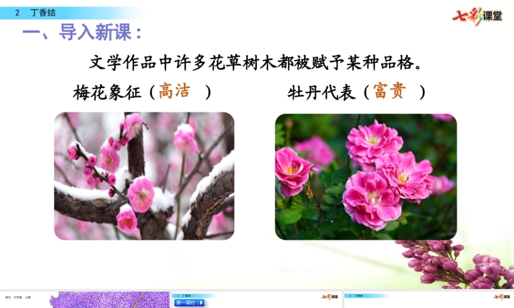 2 丁香结【名师版】.pptx