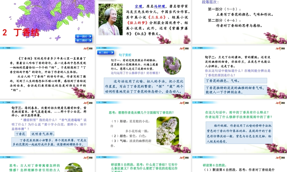 2 丁香结【名师版】.pptx
