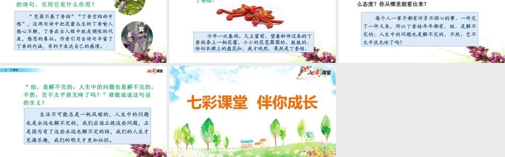 2 丁香结【名师版】.pptx