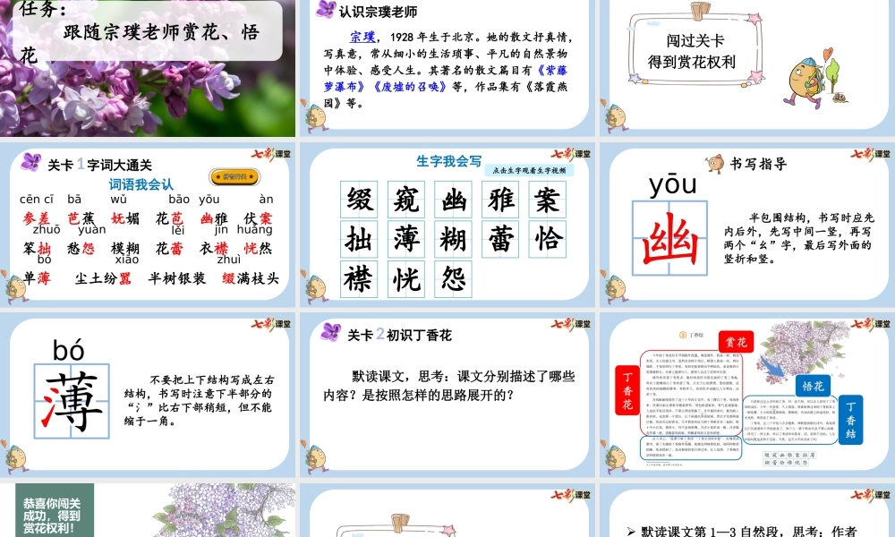 2 丁香结【新课标版】.pptx