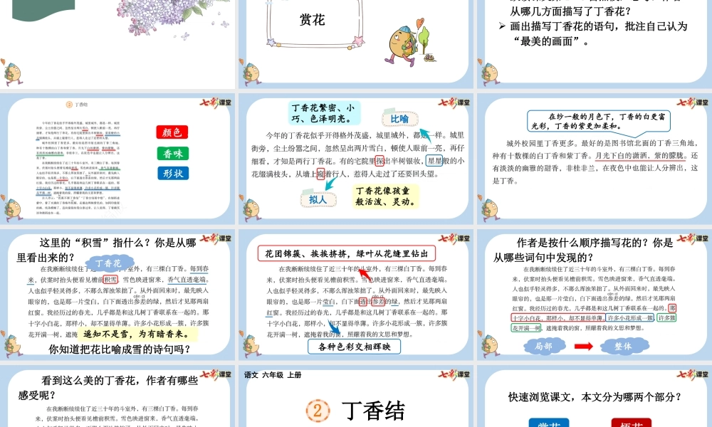 2 丁香结【新课标版】.pptx