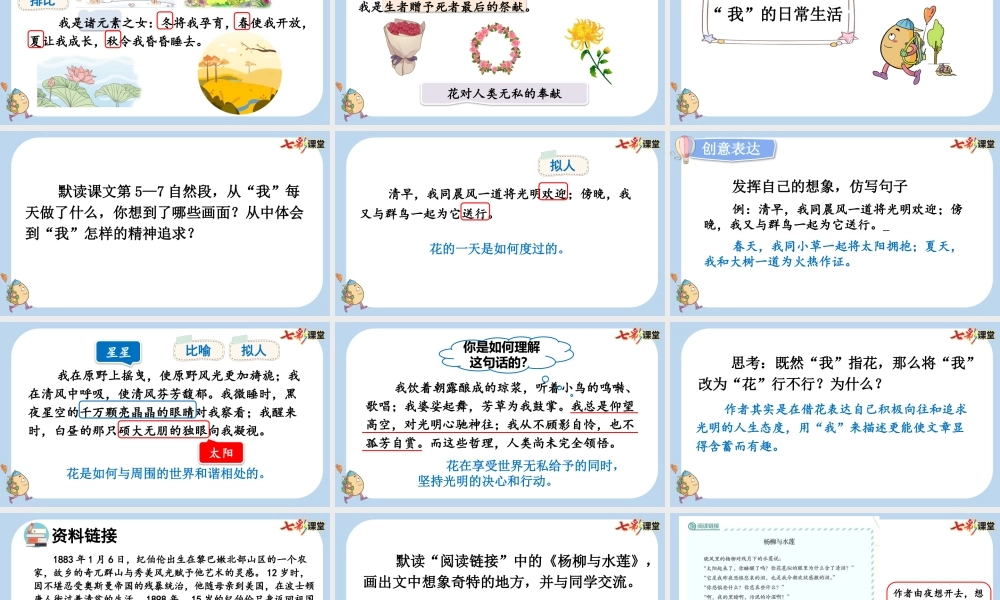 4 花之歌【新课标版】.pptx