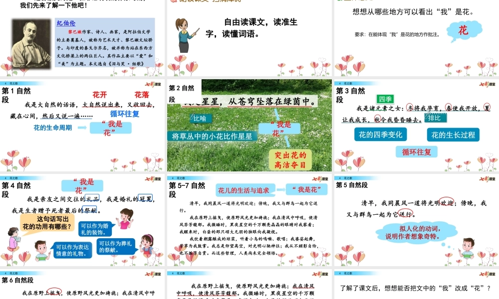 4 花之歌【名师版】.pptx