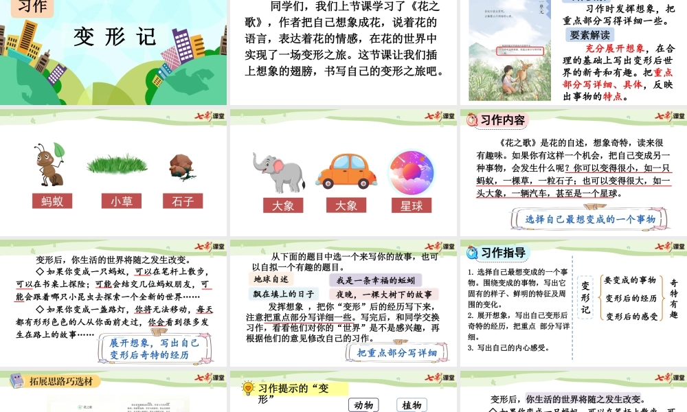 习作：变形记【上课课件优质版】.pptx