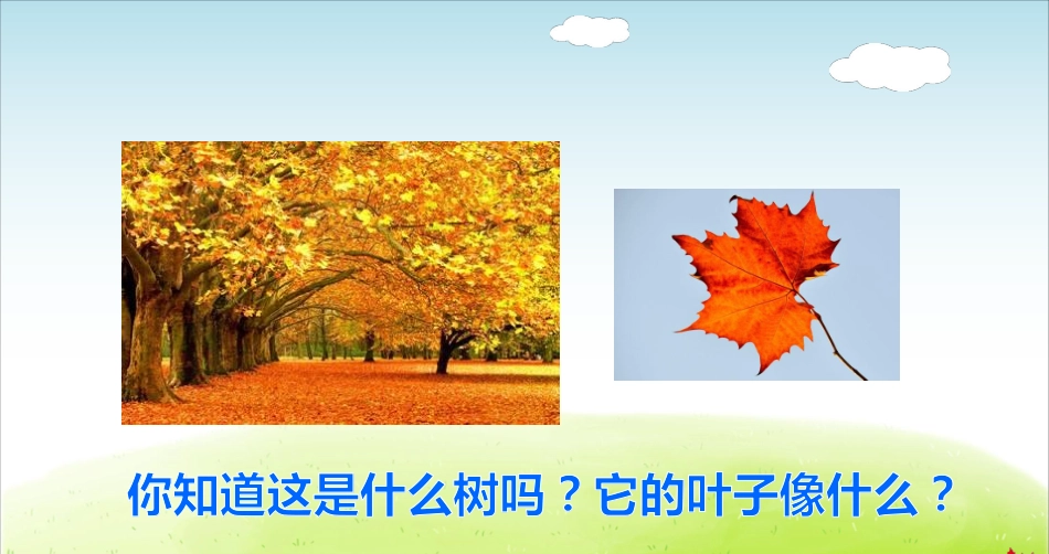 部编版小学三年级上册语文学习教案 第2单元第5课 铺满金色巴掌的水泥道.pdf_第2页