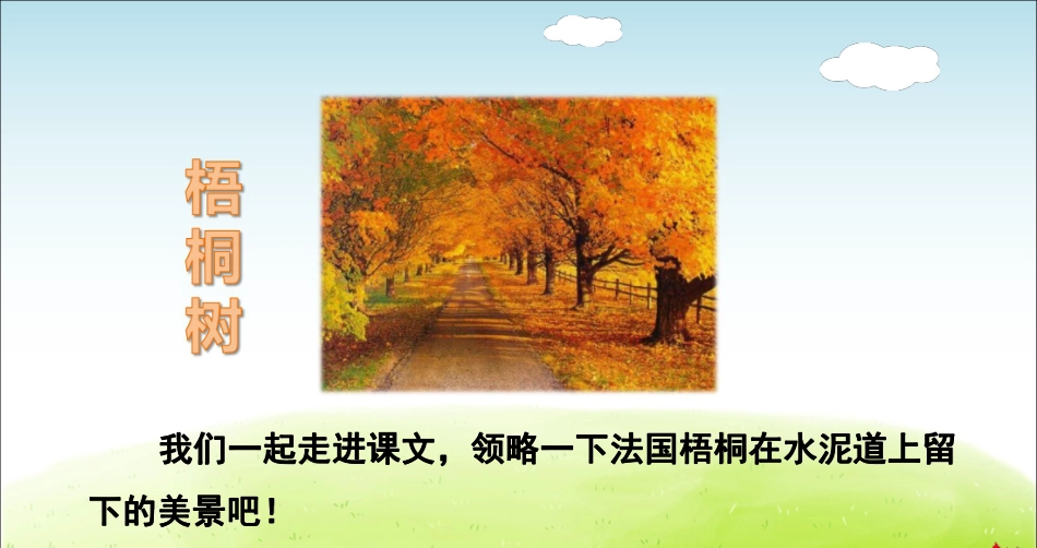 部编版小学三年级上册语文学习教案 第2单元第5课 铺满金色巴掌的水泥道.pdf_第3页