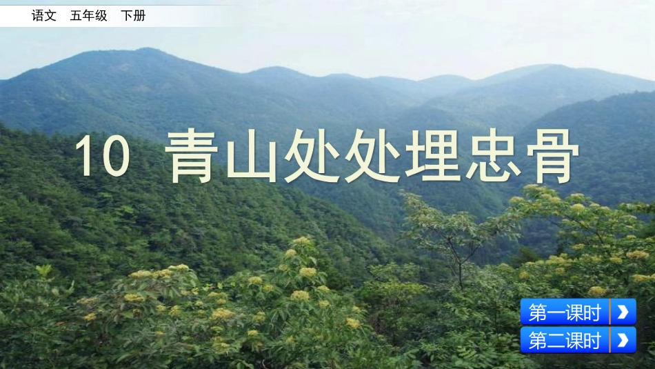学部编版语文五年级下册-青山处处埋忠骨课件.pdf_第3页