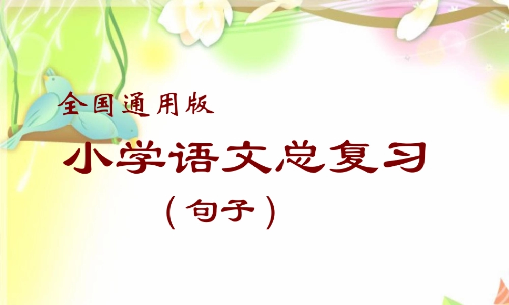 【小升初】语文总复习课件 - 句子总复习 (全国通用)(共105张ppt).ppt