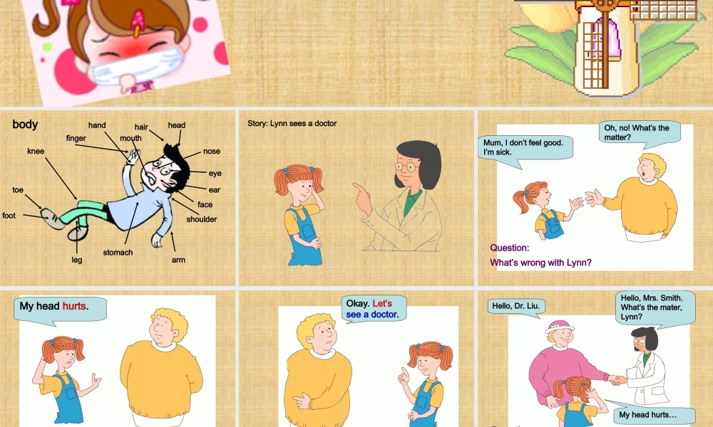 Unit 4 Seeing the doctor--身体部位.ppt