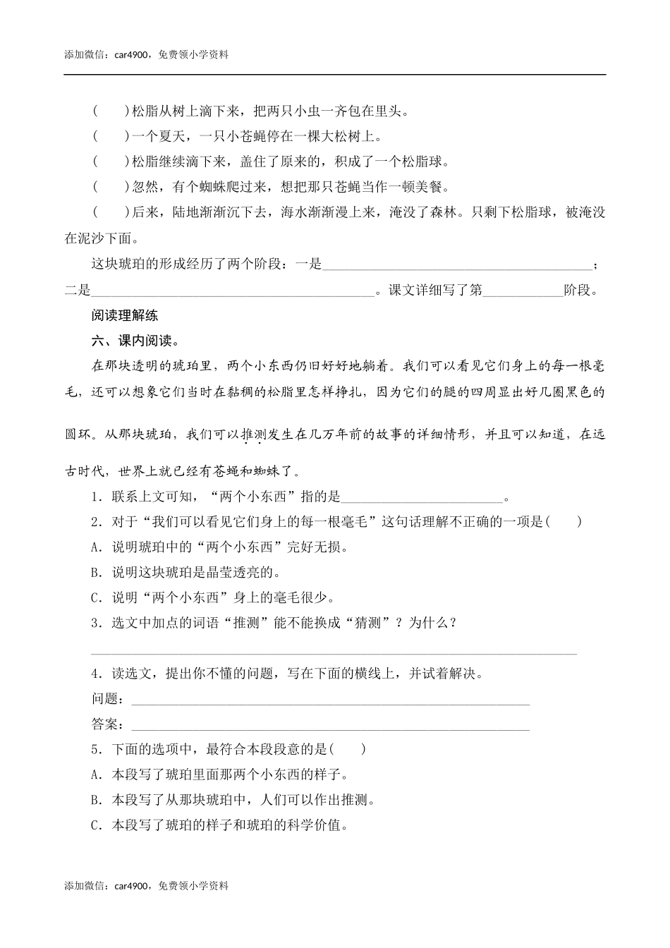 05《琥珀》课时测评.docx_第2页