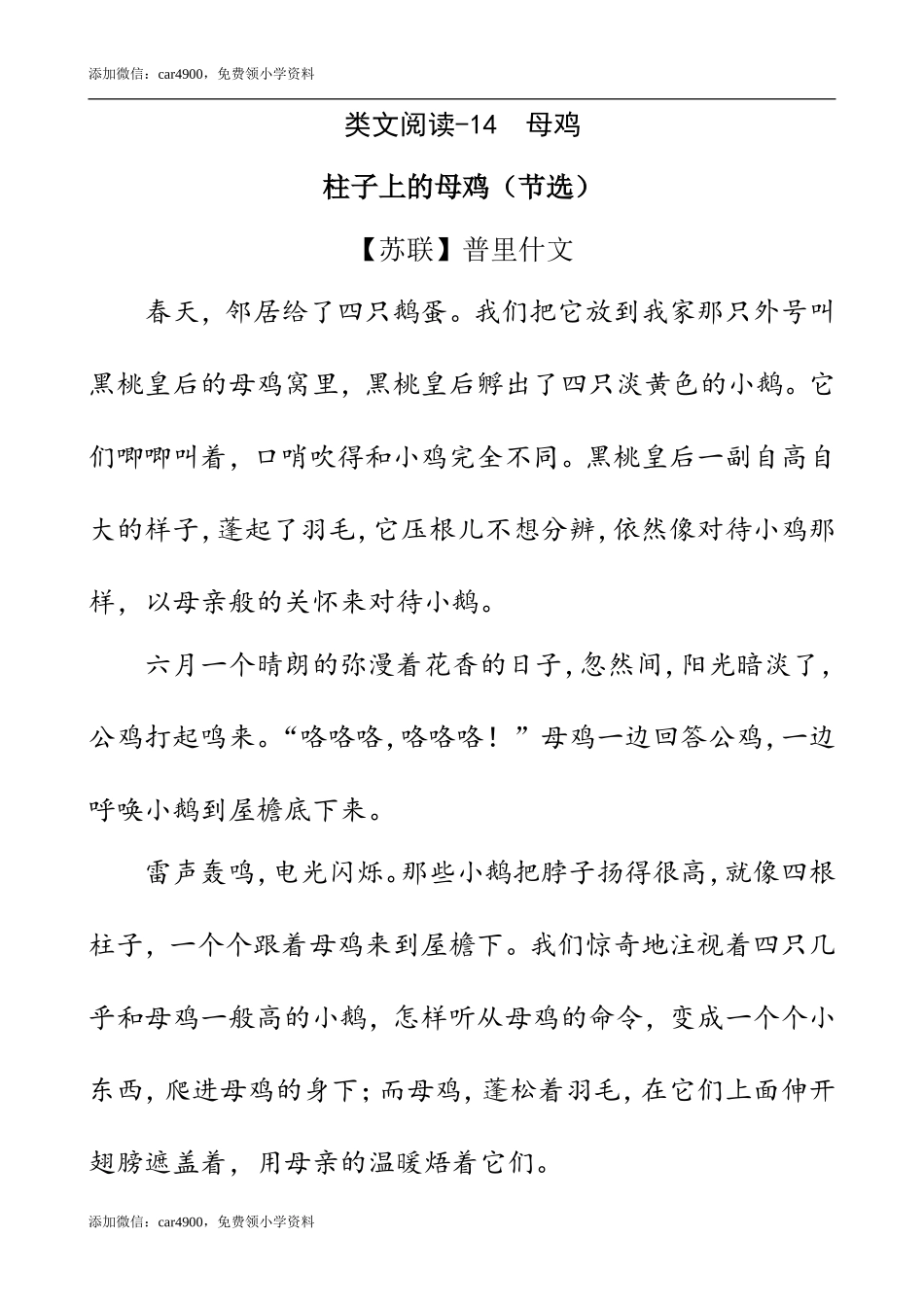类文阅读-14 母鸡.doc_第1页