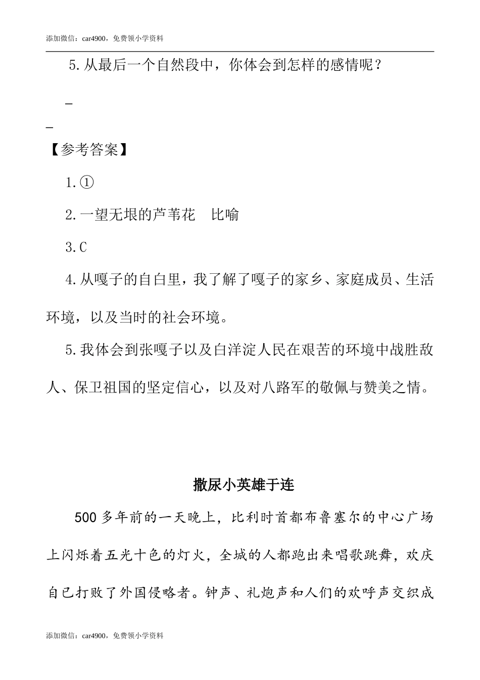 类文阅读-19 小英雄雨来（节选）.doc_第3页